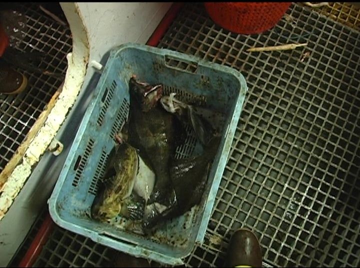 Fishing Vessel Lilli Ann, Bering Sea 2005