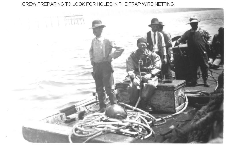A group of men are preparing to look for holes in the trap wire netting
