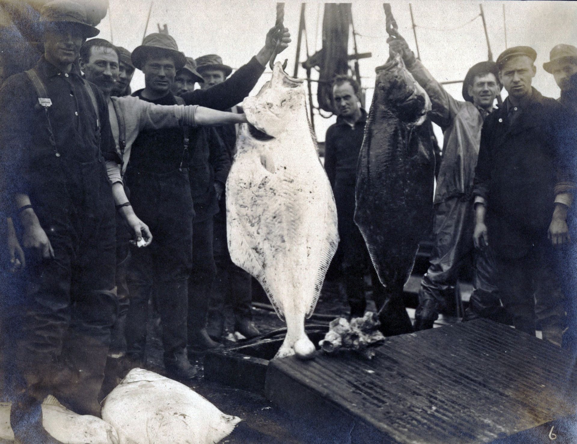 A black and white photo of a group of men holding a large fish