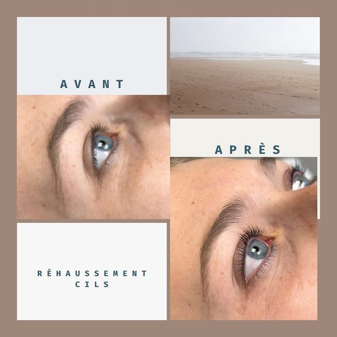 Un gros plan des sourcils et des cils d'une femme.