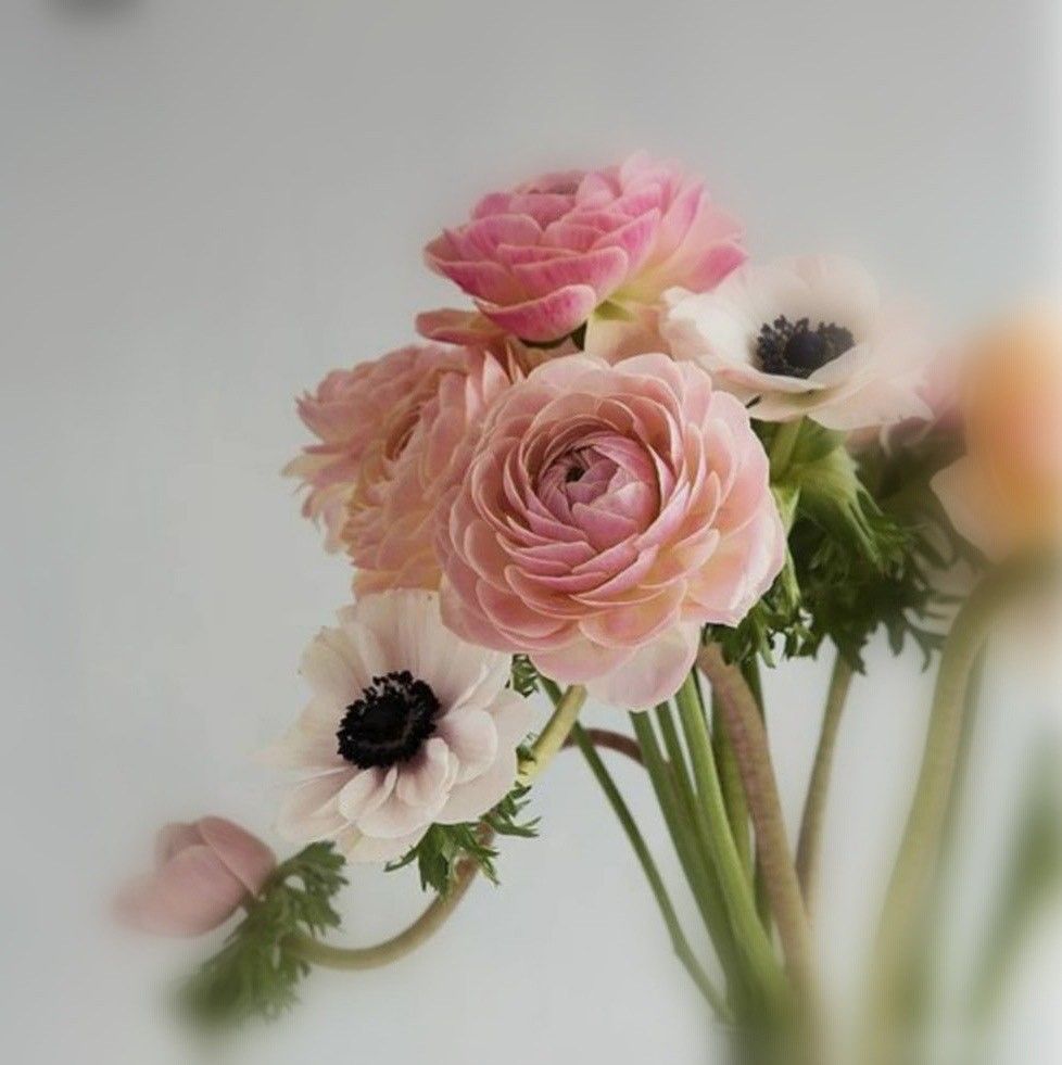 Une femme s'épile le bras avec un bâton.