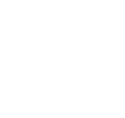Logo Magic in a Flash blanc