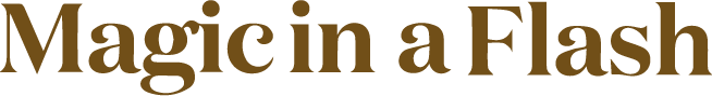 Logo Magic in a Flash marron
