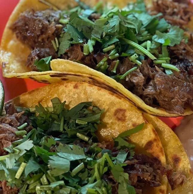 Two corn tortillas filled with shredded, dark-cooked meat and topped with fresh, green chopped cilantro.