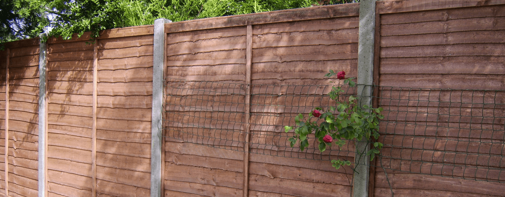 Garden fence