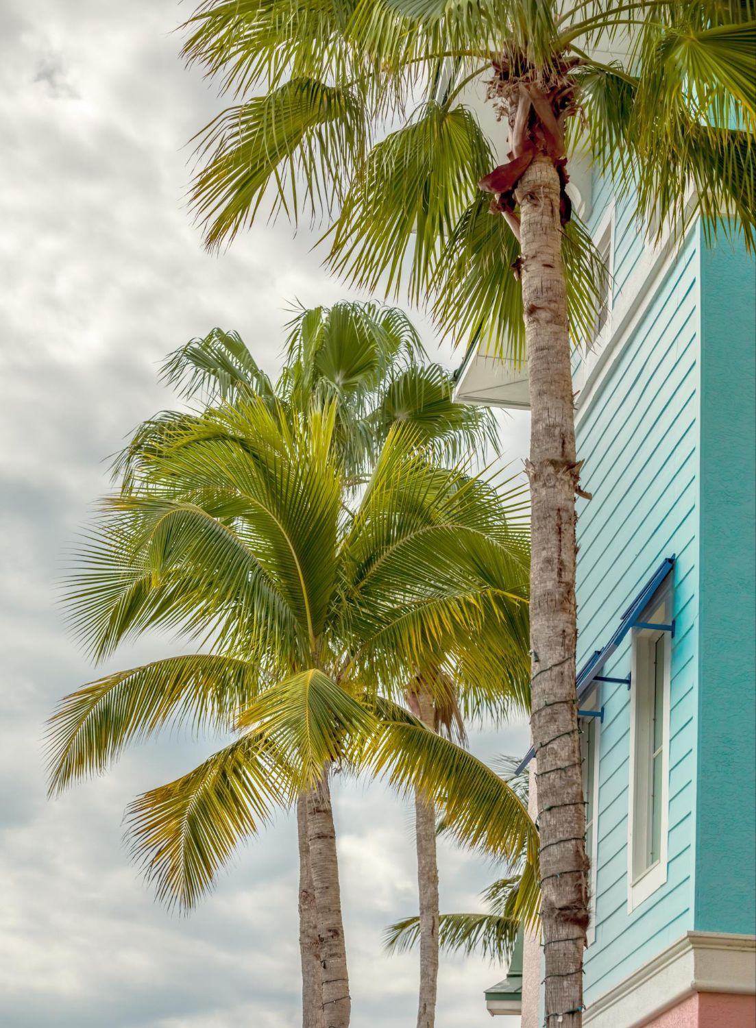 Palm trees in front of a turquoise building with white window frames under cloudy skies.