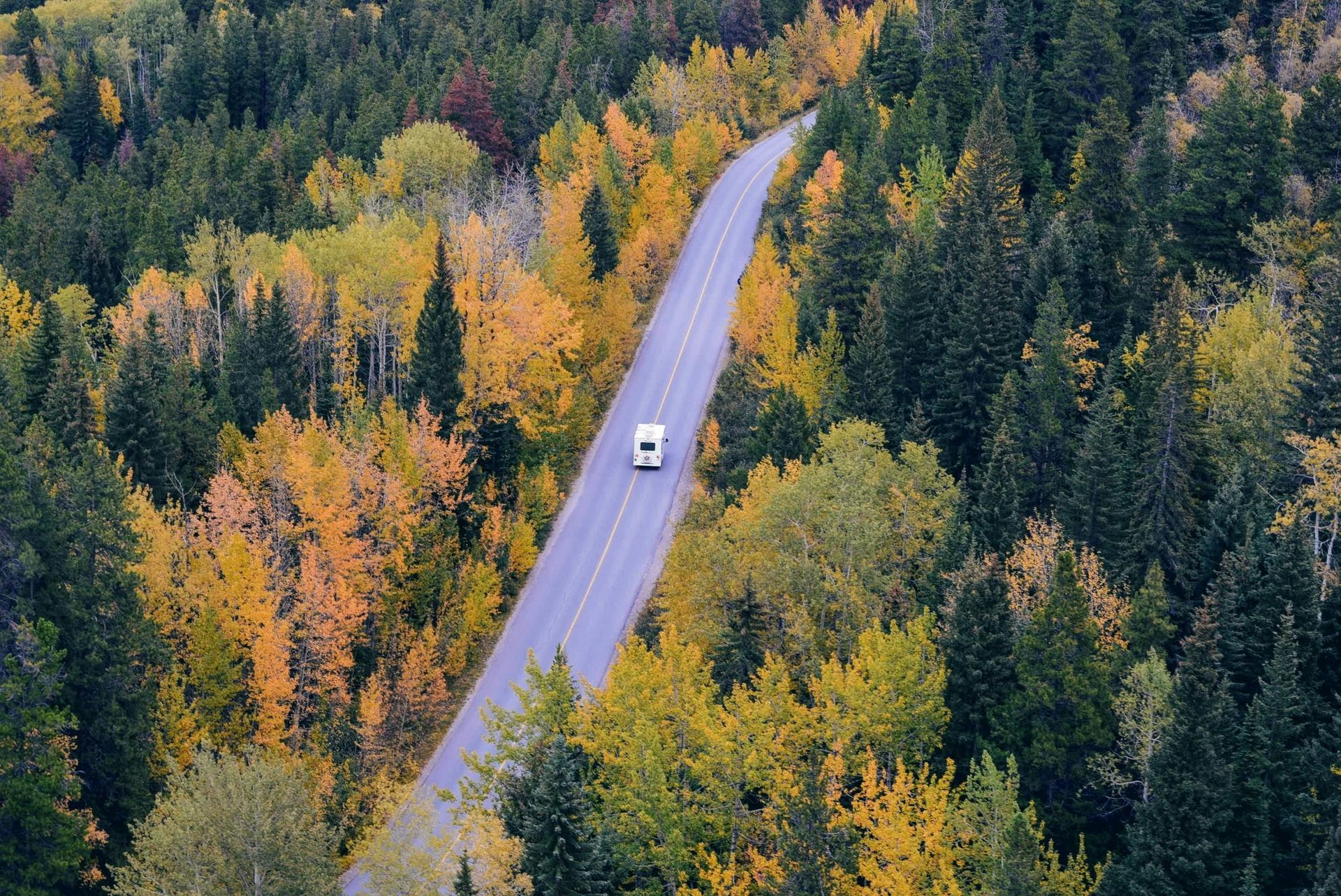 RV traveling down a road through a colorful autumn forest.