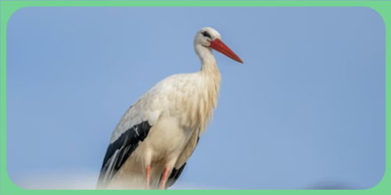 Foto onderwerp lichtgedicht