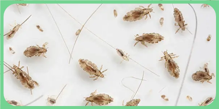 Foto onderwerp lichtgedicht