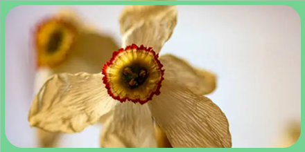 Foto onderwerp  lichtgedicht 