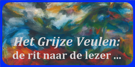 Titel ‘rit naar de lezer’ tegen achtergrond boekcover