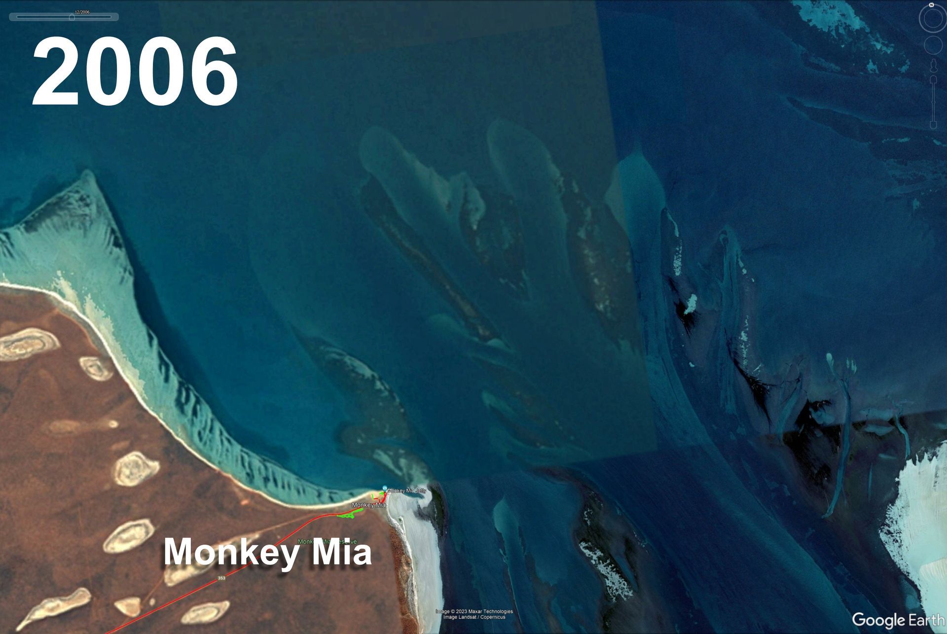 2006 seagrass in Shark Bay