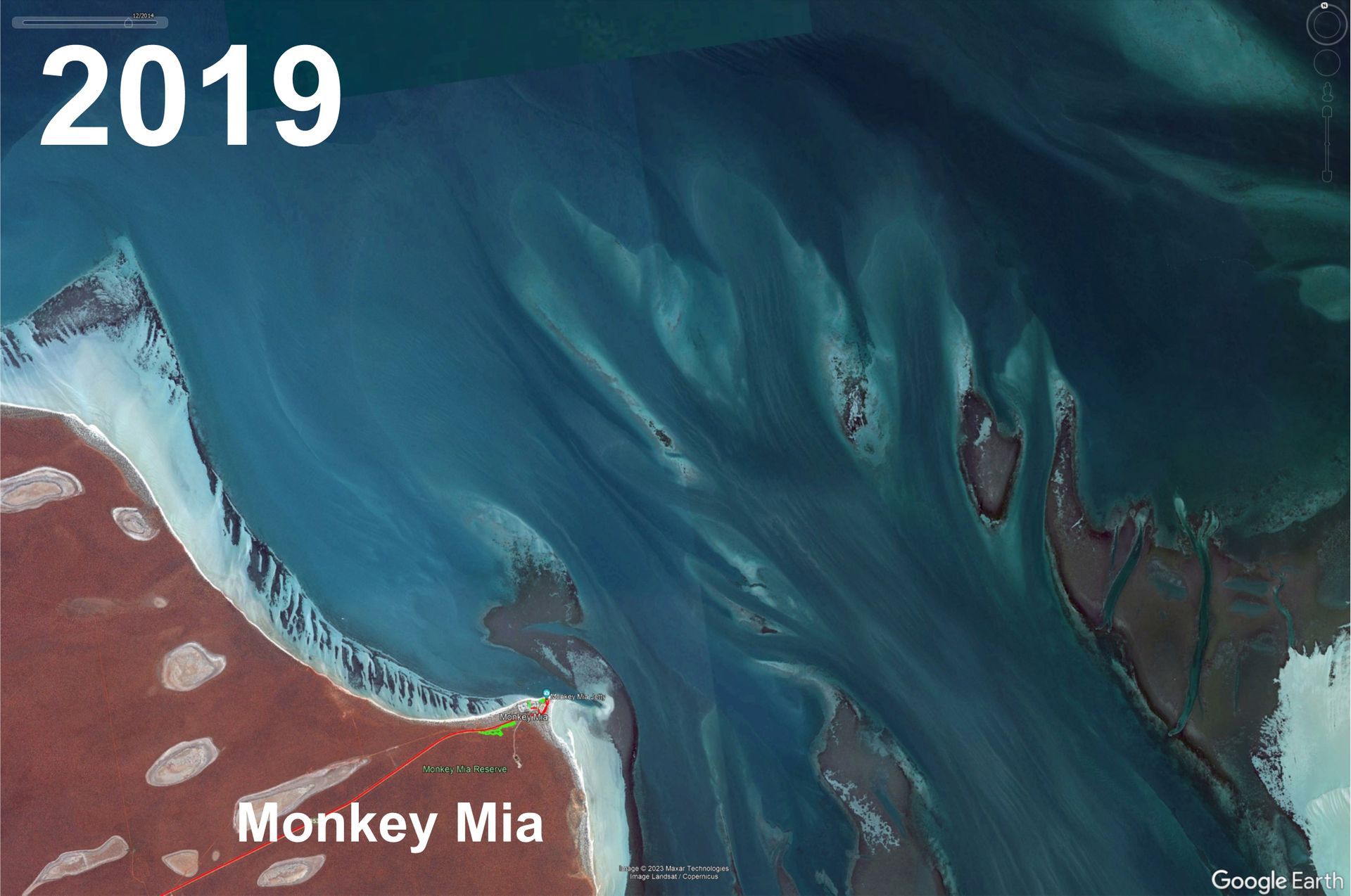 2019 seagrass in Shark Bay