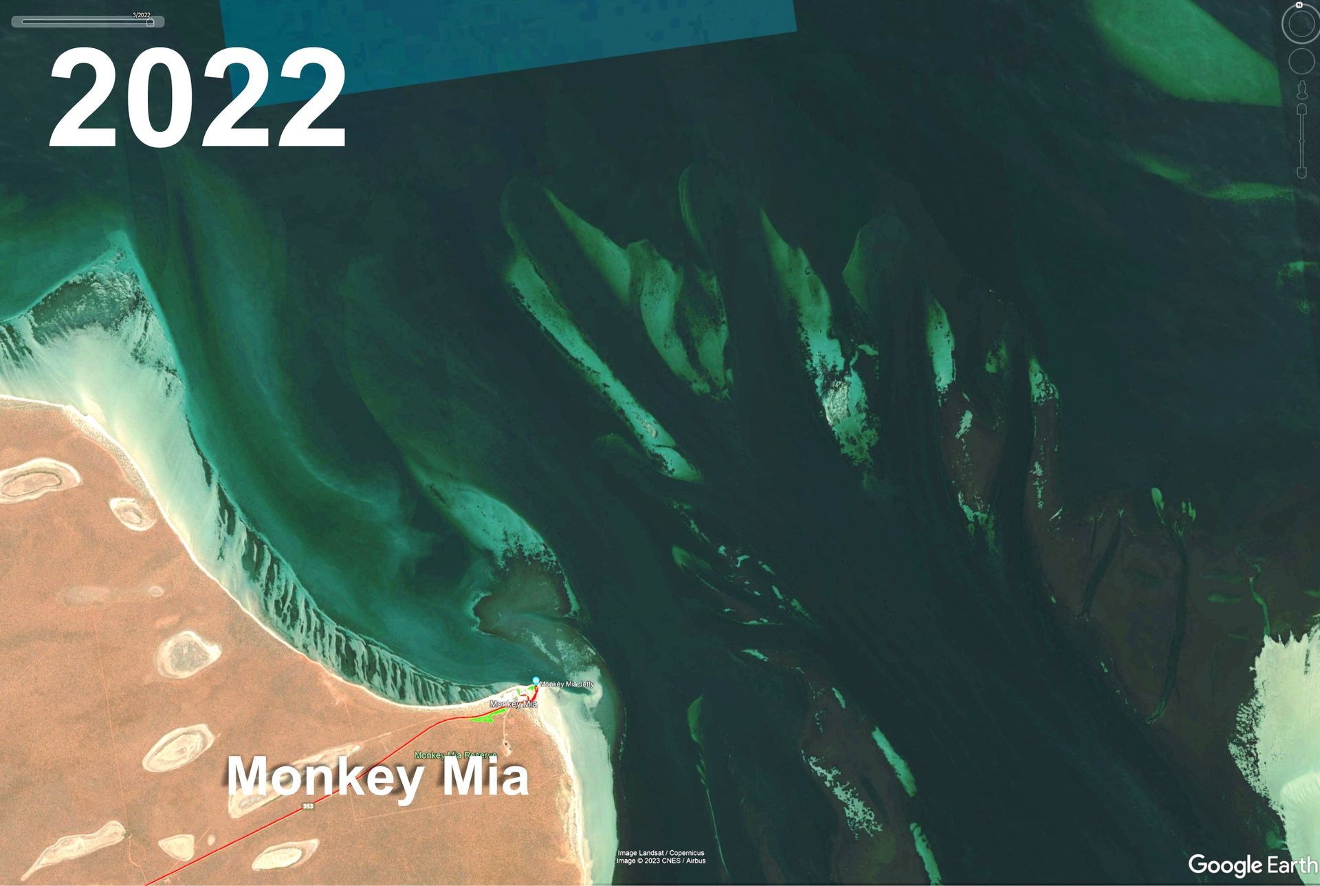 2006 seagrass in Shark Bay