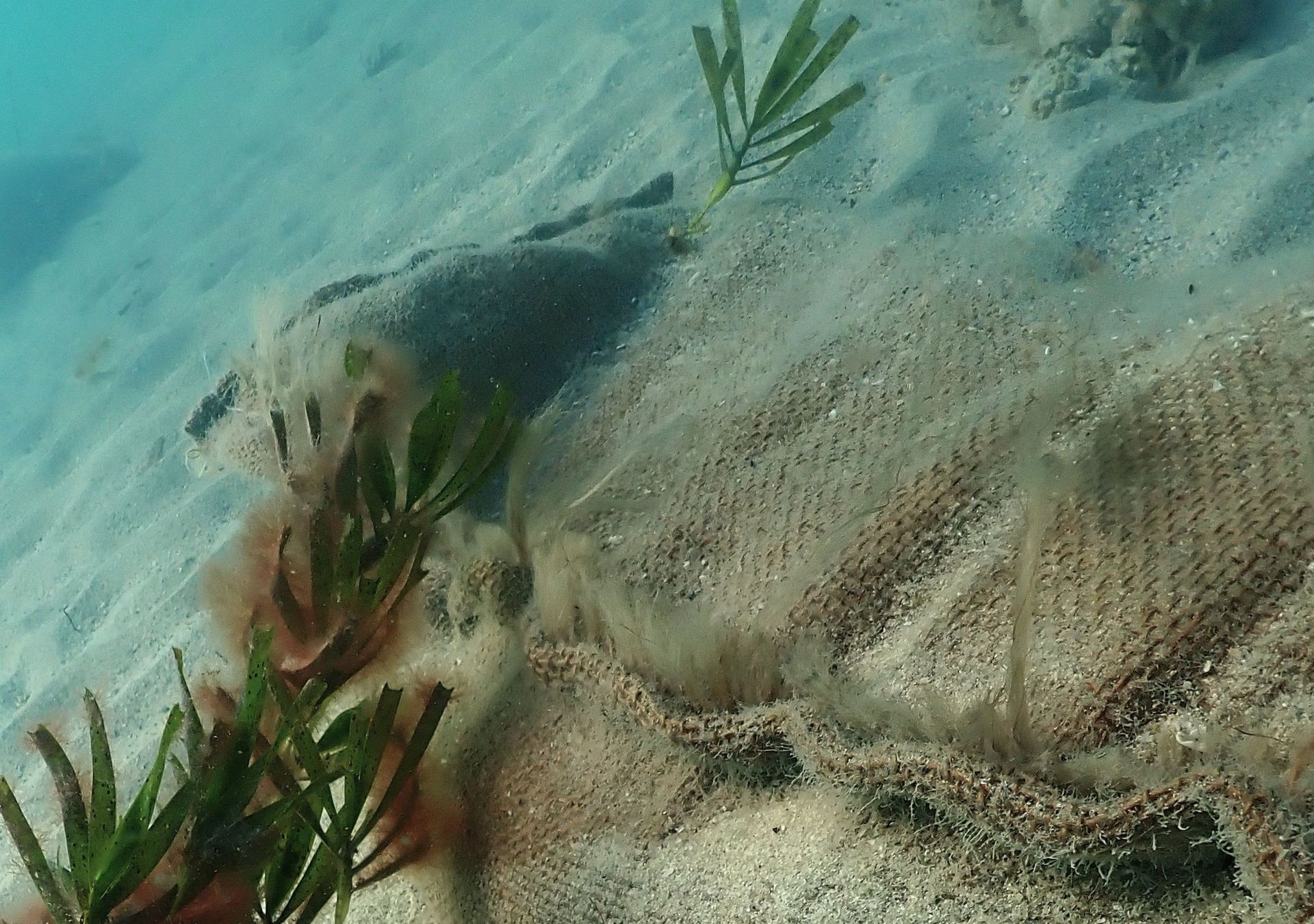 hessian bags at bottom of shark bay