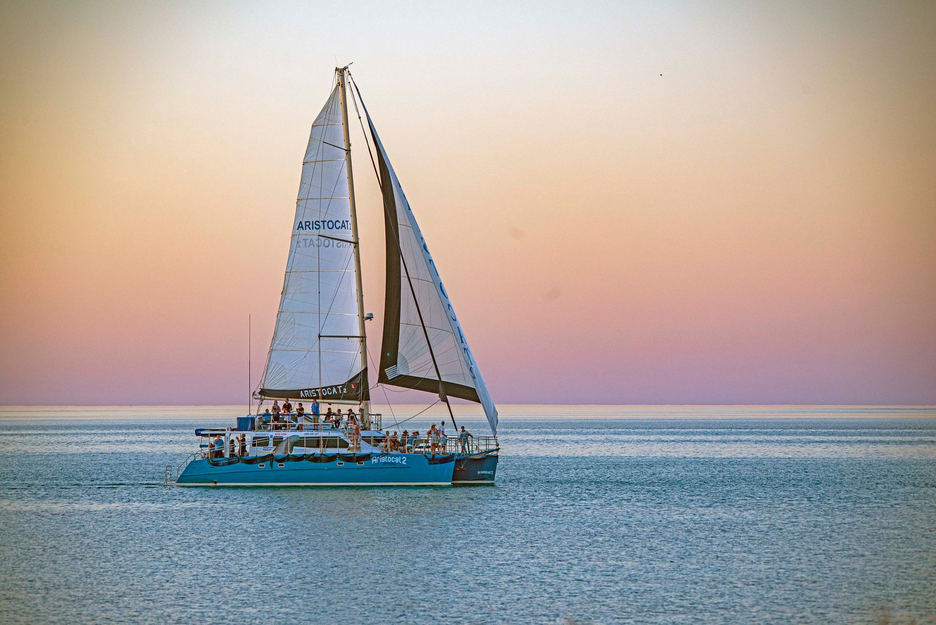 aristocat2 our partner in planting seagrass