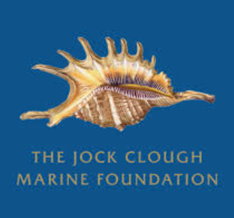 Dolphin Cruises Monkey Mia