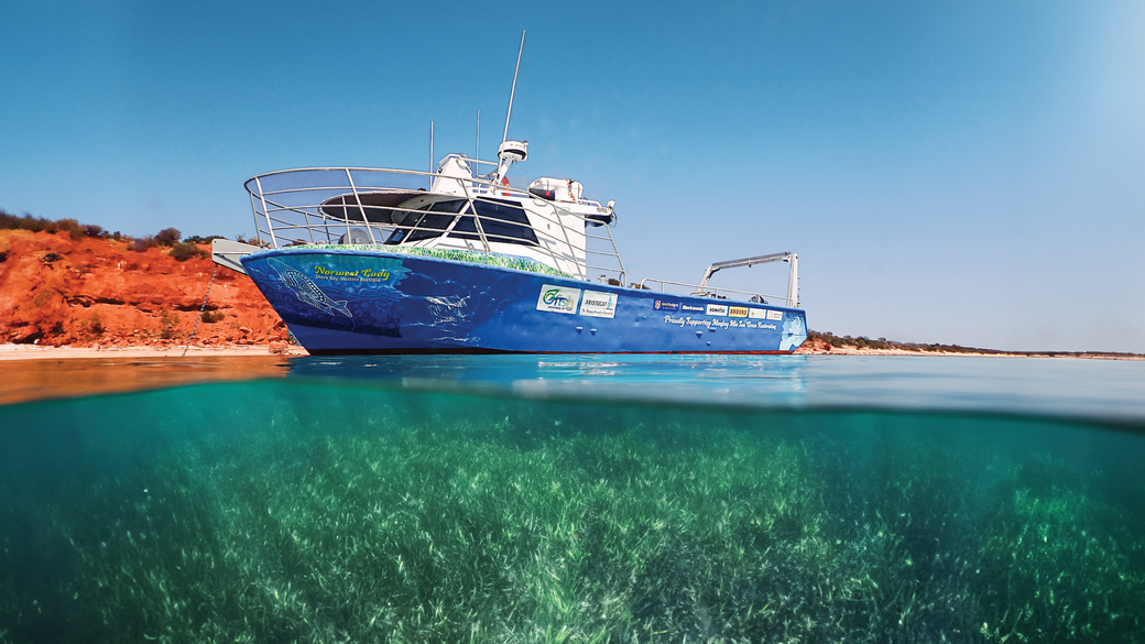 A boat is floating on top of a body of water in shark bay