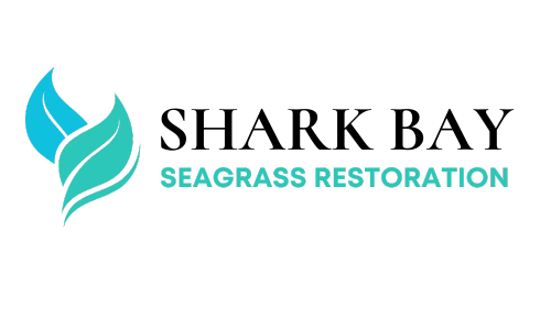 A logo for shark bay seagrass restoration with a blue leaf on a white background.