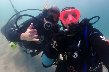 divers planting the seagrass