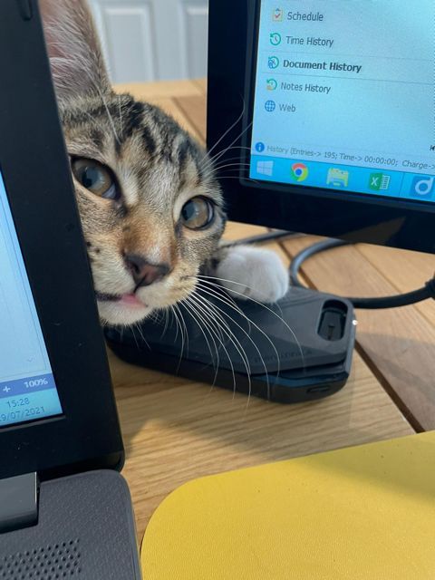 Chloe, Paul Sams, Lawcomm