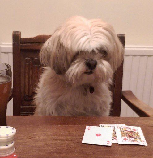 Cassandra, Richard Silver