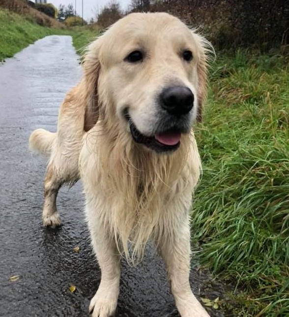 Billy, Jo Dawson, Dawson Radford