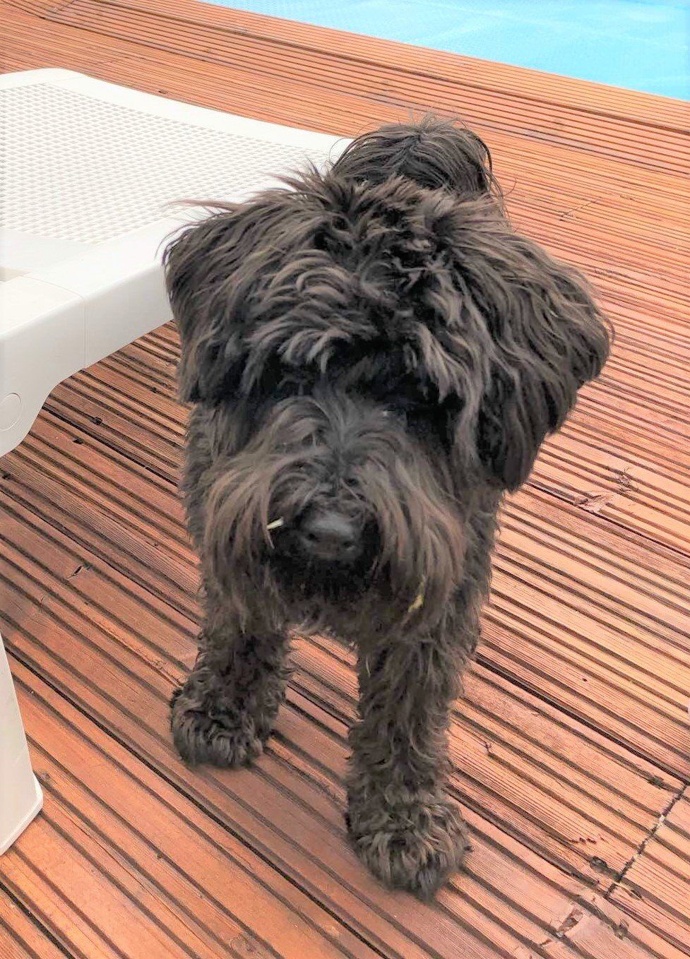 Hattie, Karen Babbington