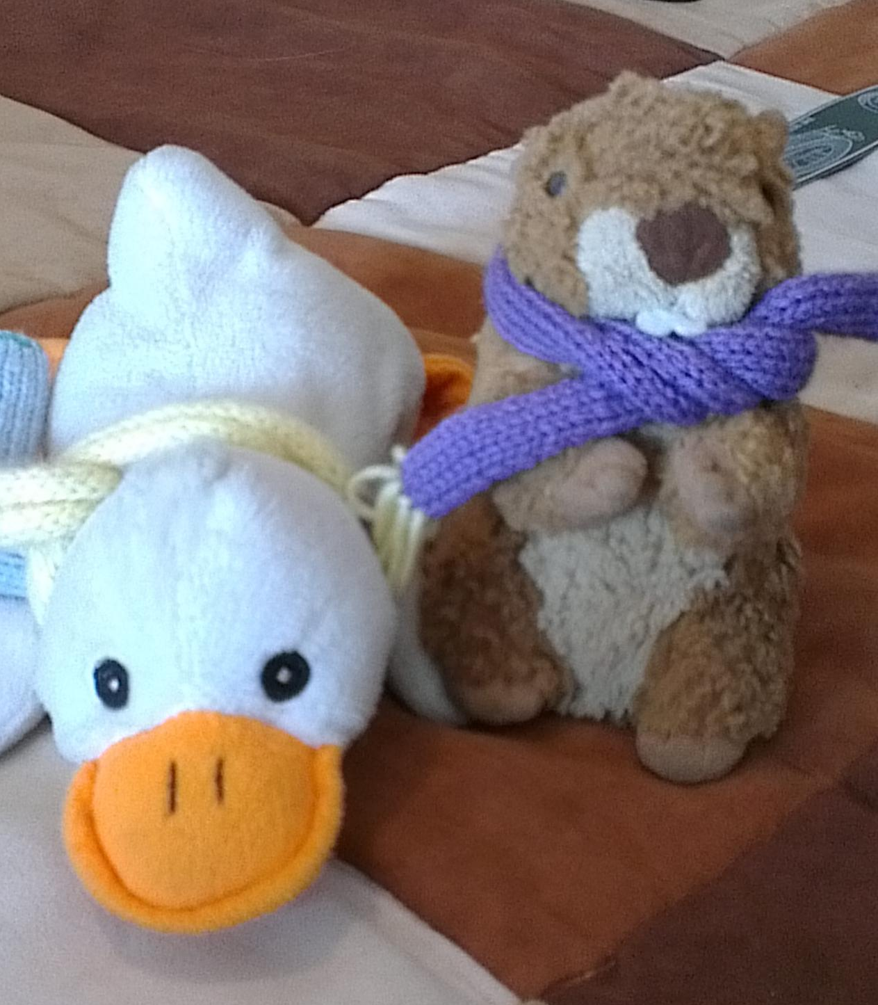 Snowduck, Marmie, Jo Reevy