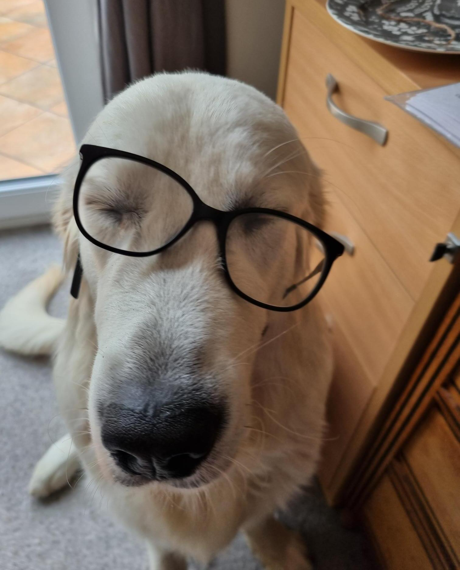 Max, Sarah Noton, Swayne Johnson