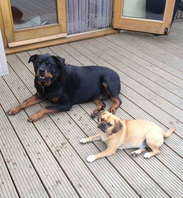Rock, Purdy, Alan Austin, 9 Stone Buildings