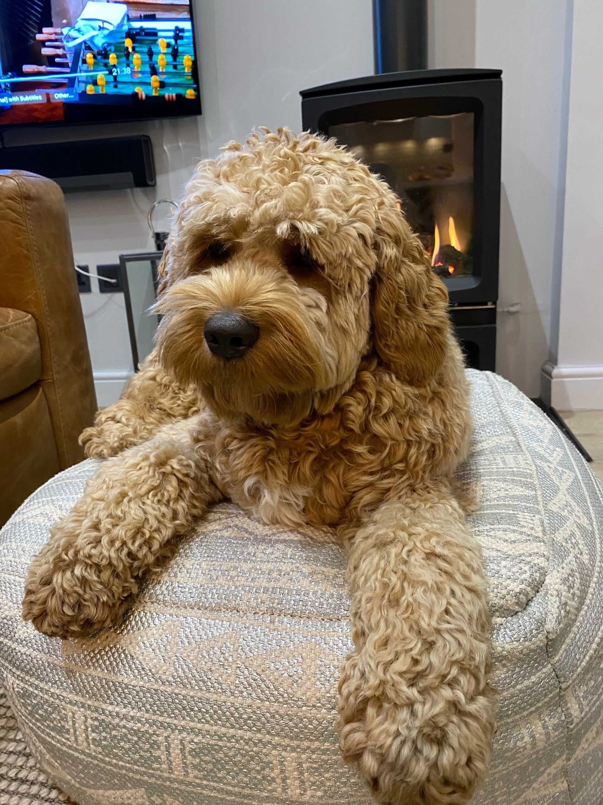 Albie, Stuart Whittle, Weightmans