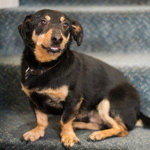 Teddy, Paula Langley, Bookers & Bolton