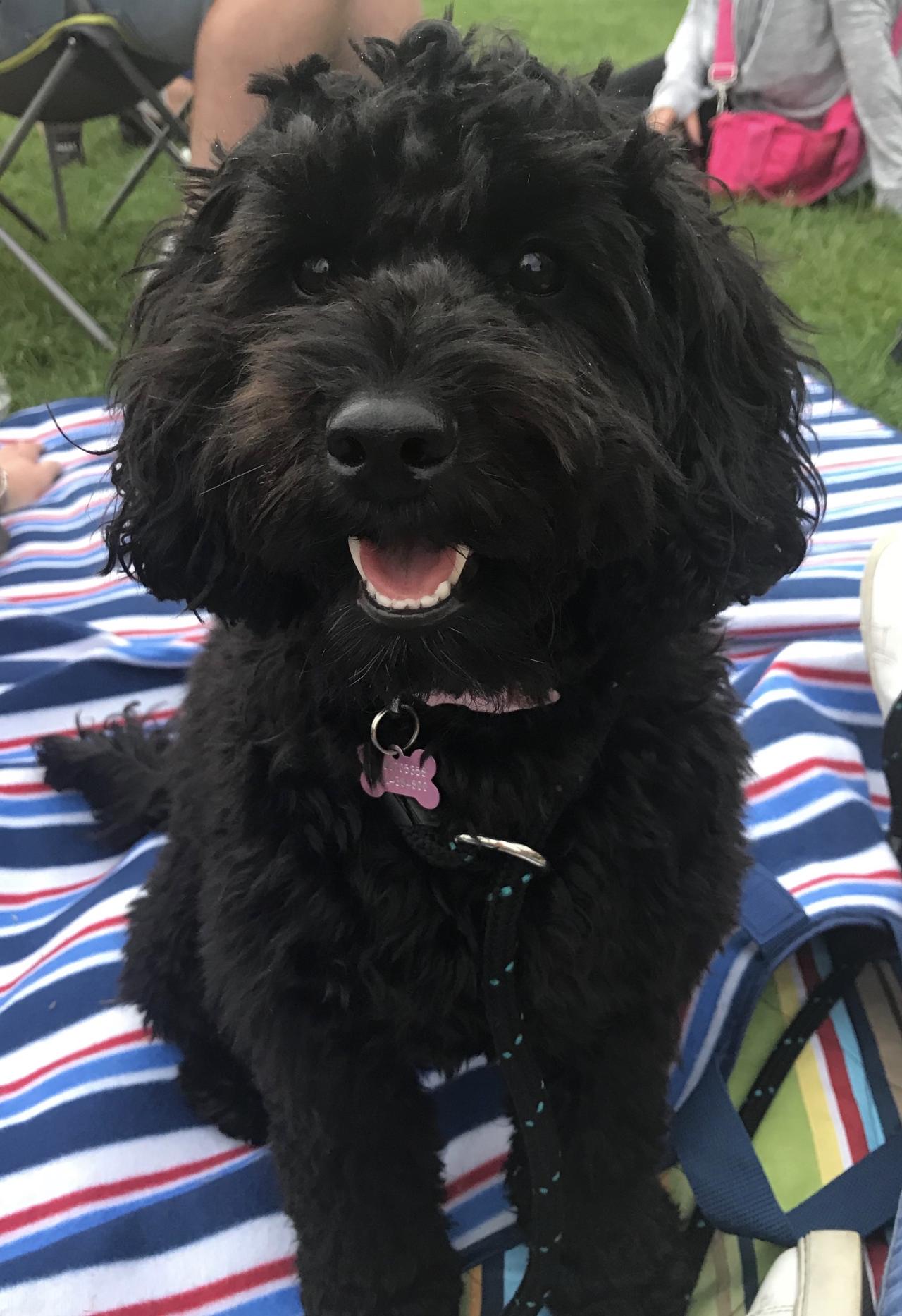 Tilly, Mark Lockett, FDR Law