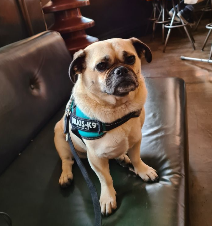 Tilly, Phil Nixon, Thomson Reuters