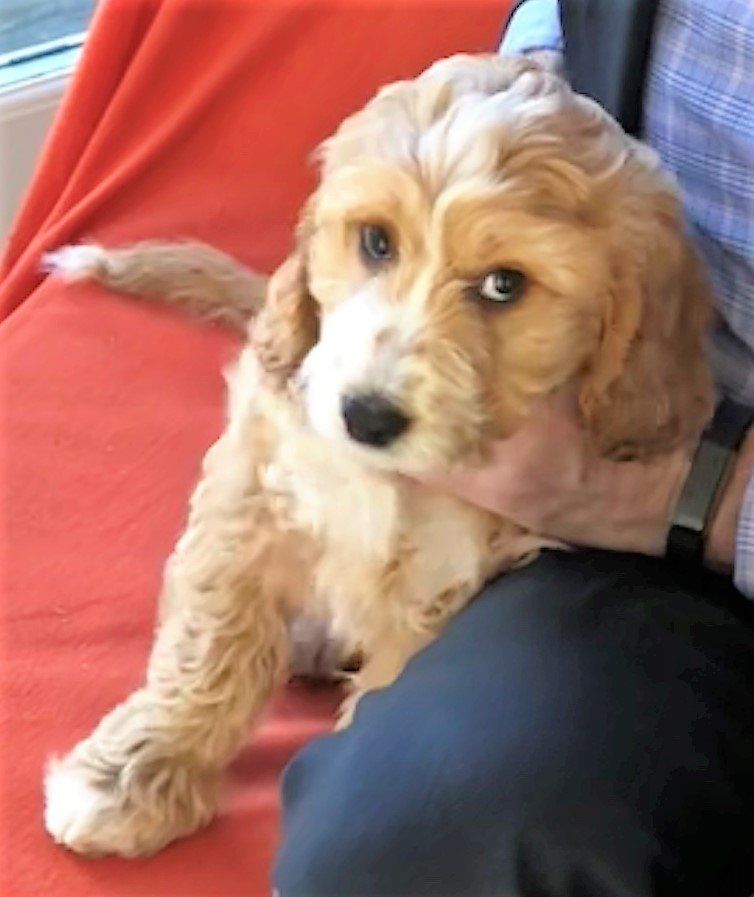 Woody, Phil Goodstone, EY