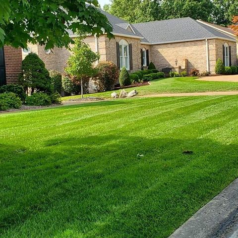 Clean Lawn Beside The House | Saint Charles, MO | Bert's Lawn Maintenance