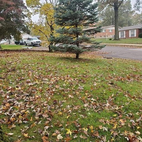 Lawn With Many Falling Leaves | Saint Charles, MO | Bert's Lawn Maintenance