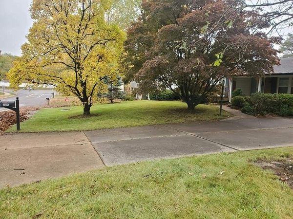 Clean Lawn With Trees Beside | Saint Charles, MO | Bert's Lawn Maintenance