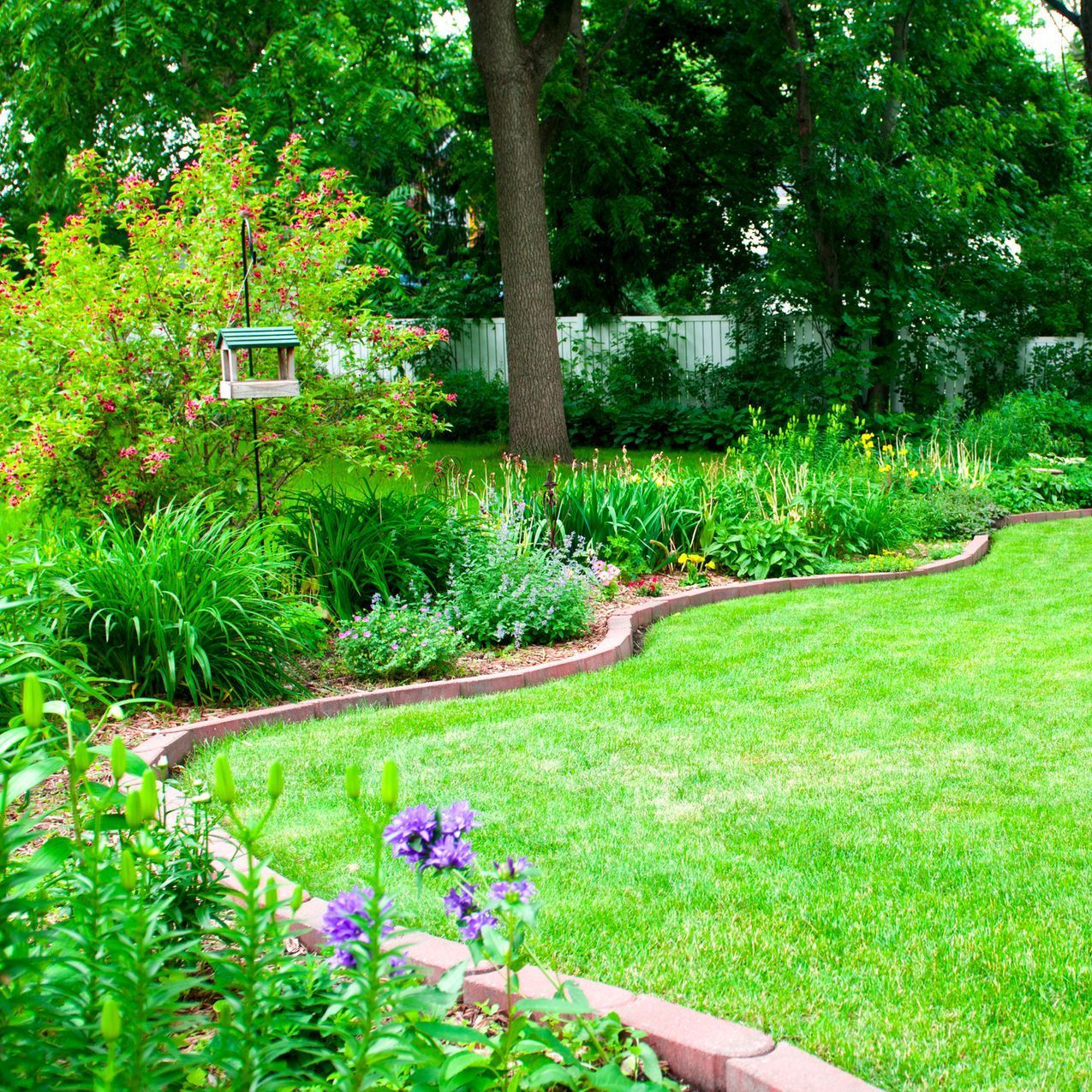Clean Lawn With Fences | Saint Charles, MO | Bert's Lawn Maintenance