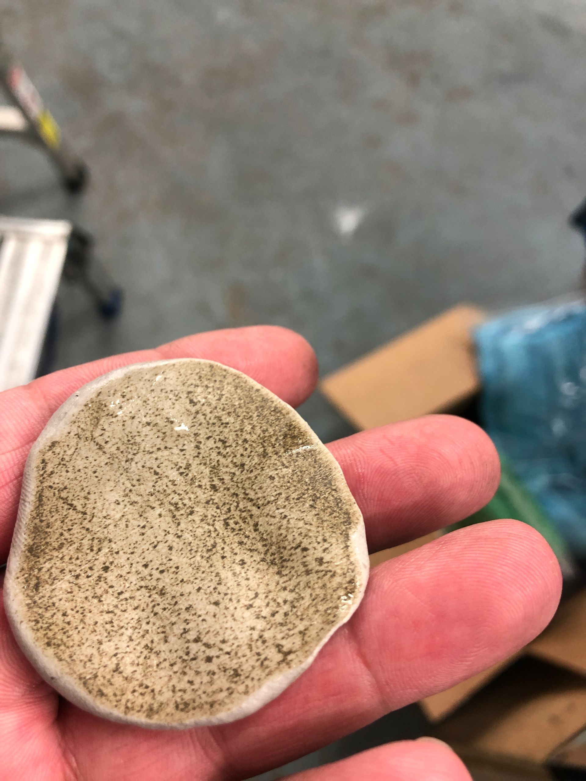 A hand holds a circular, speckled, light-colored object; likely a stone or pottery.