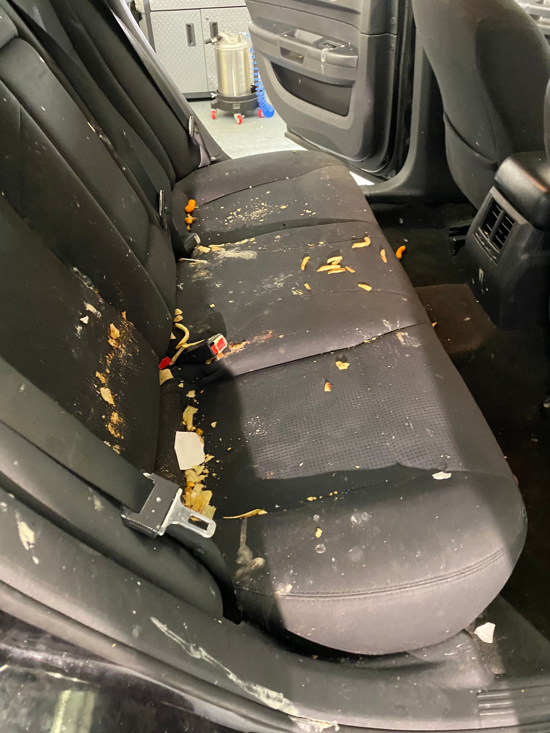 Car's black fabric back seat heavily stained with food debris, suggesting a messy interior.