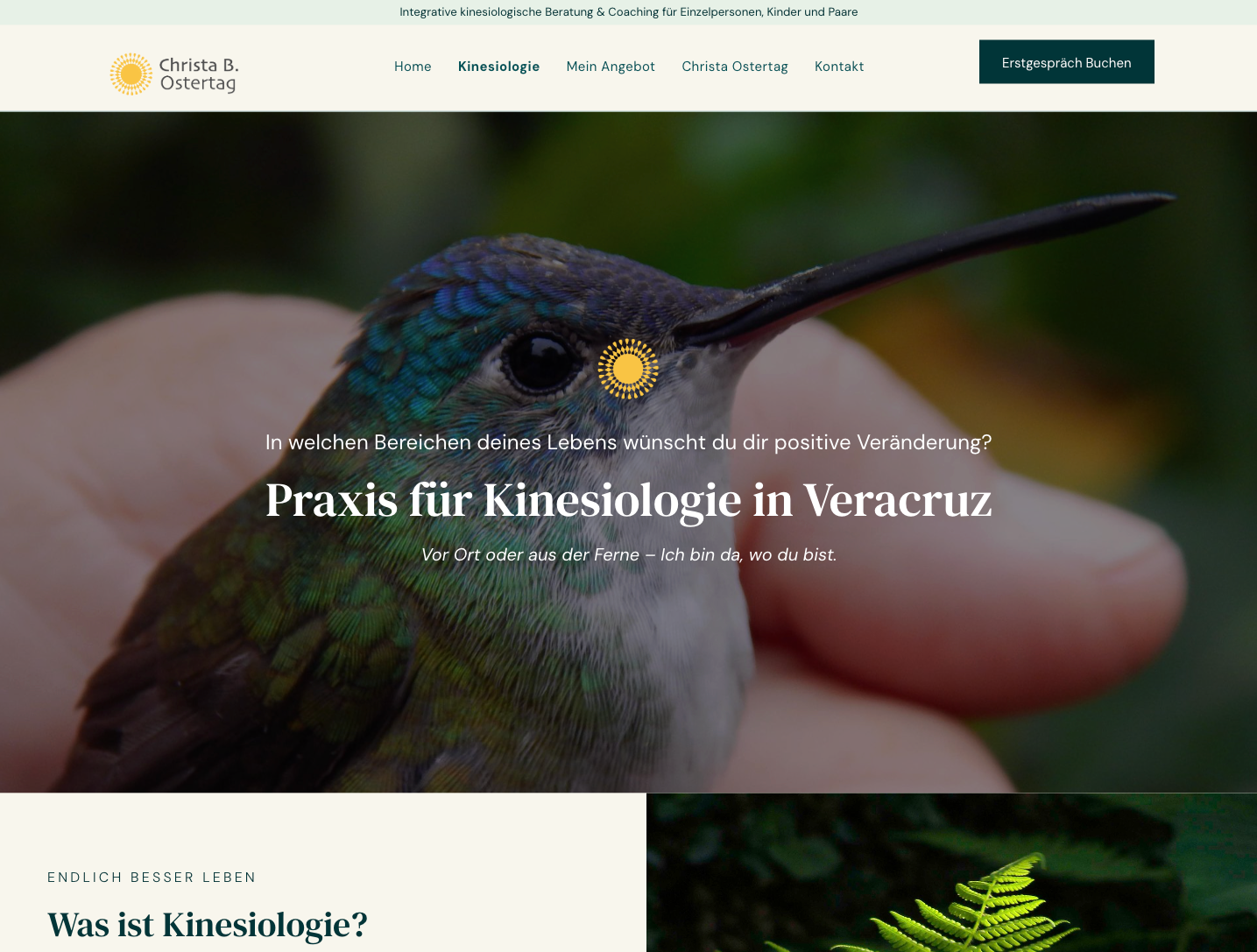 A website that says we ignite your spark smart strategy bold creativity