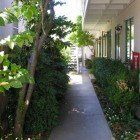 A narrow walkway between two buildings surrounded by trees and bushes.