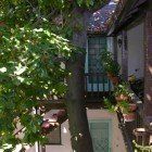 A tree is in front of a house with a balcony.