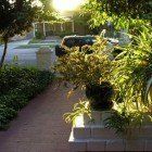 A brick walkway surrounded by potted plants and trees leading to a house.