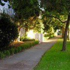 A sidewalk surrounded by trees and grass in a park.