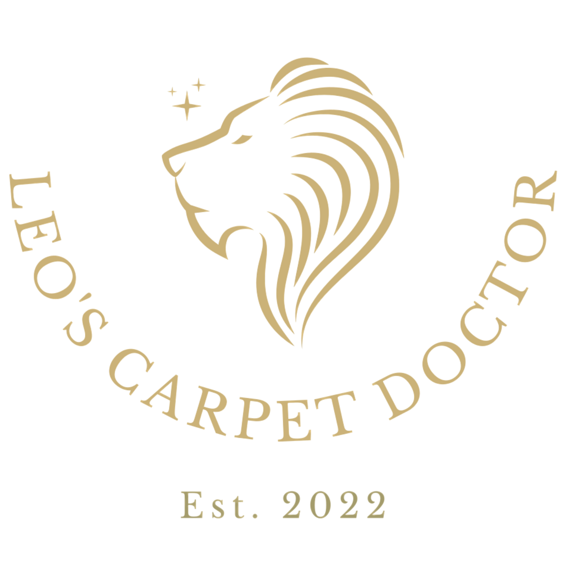 Leos carpet doctor