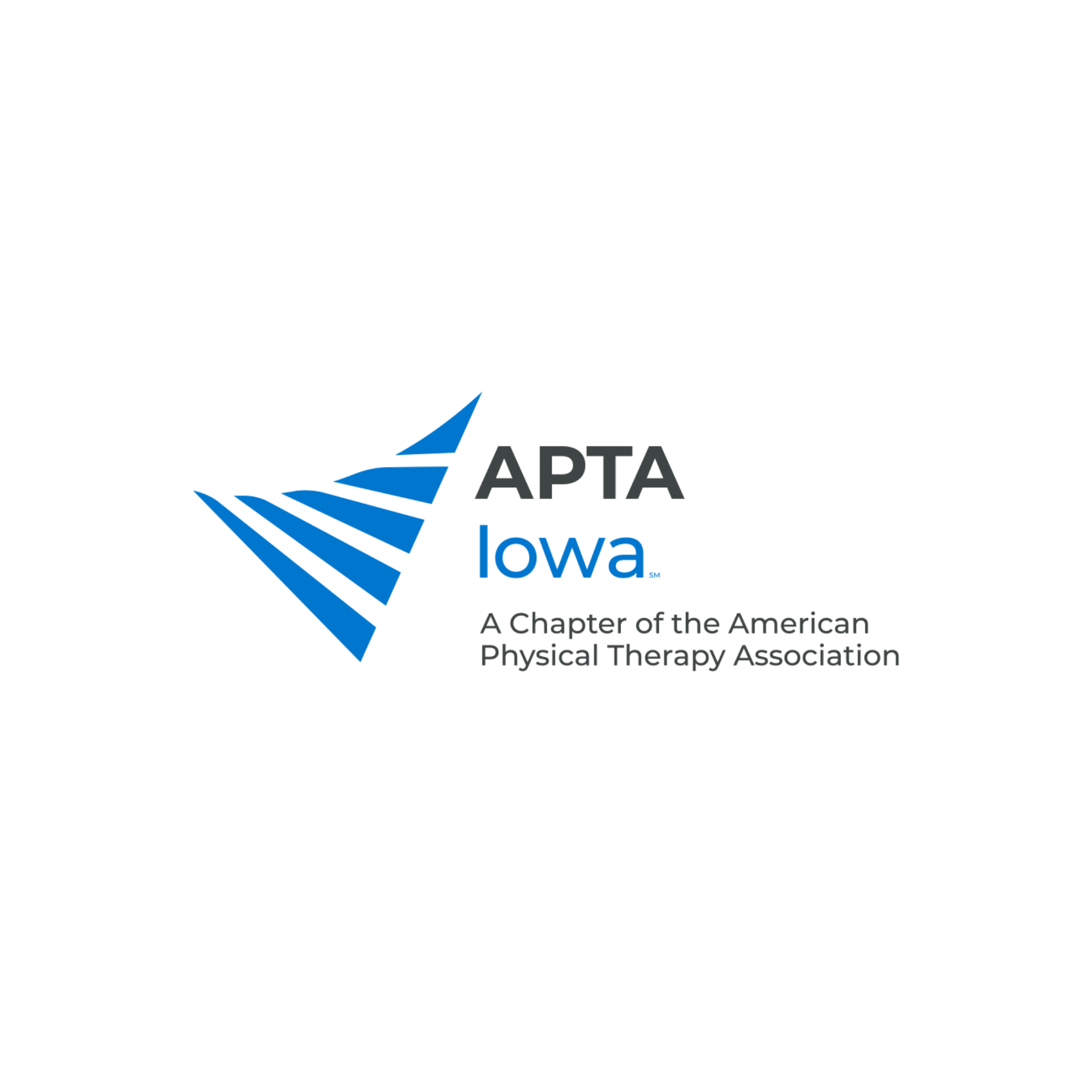 Iowa Physical Therapy Association