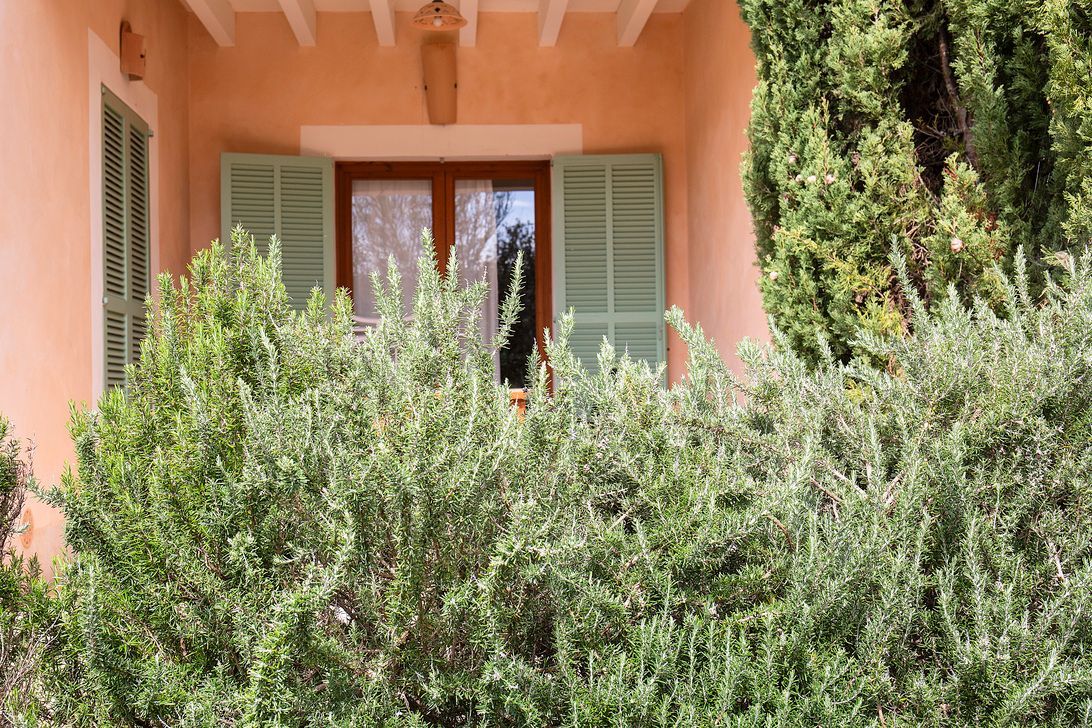 Una casa con persianas verdes y un arbusto delante de ella.